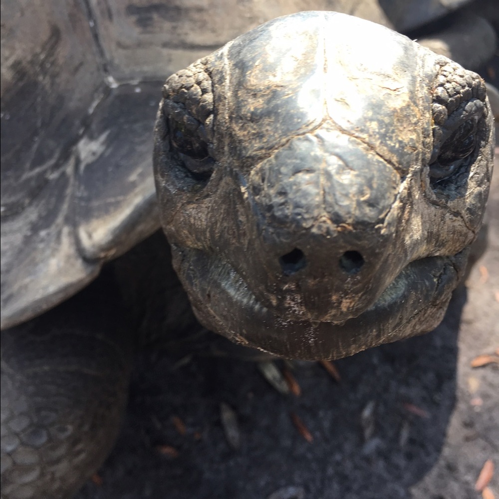 Meet your Posher, Chris