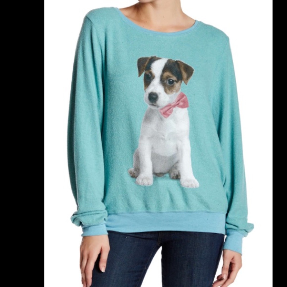 Wildfox couture puppy Pullover