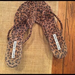 Manolo Blahnik leopard kitten heel