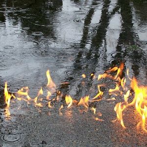 Meet your Posher, Beverly