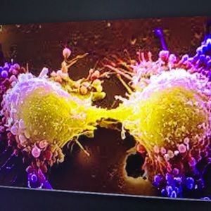 Meet your Posher, Ben