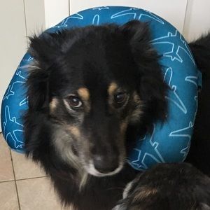 Meet your Posher, Marti