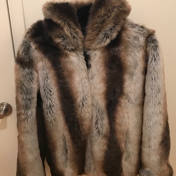Fur Coat - Picture 1 of 4