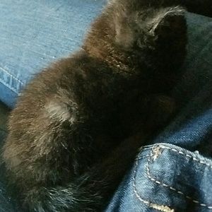 Meet your Posher, Allicyn