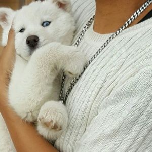 Meet your Posher, Edwanda