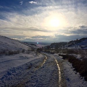Meet your Posher, Abigail