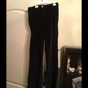 Velvet type material Tory Burch Pants! Lovely blue