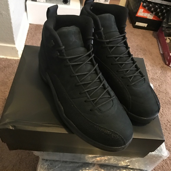Air Jordan 12 Retro \