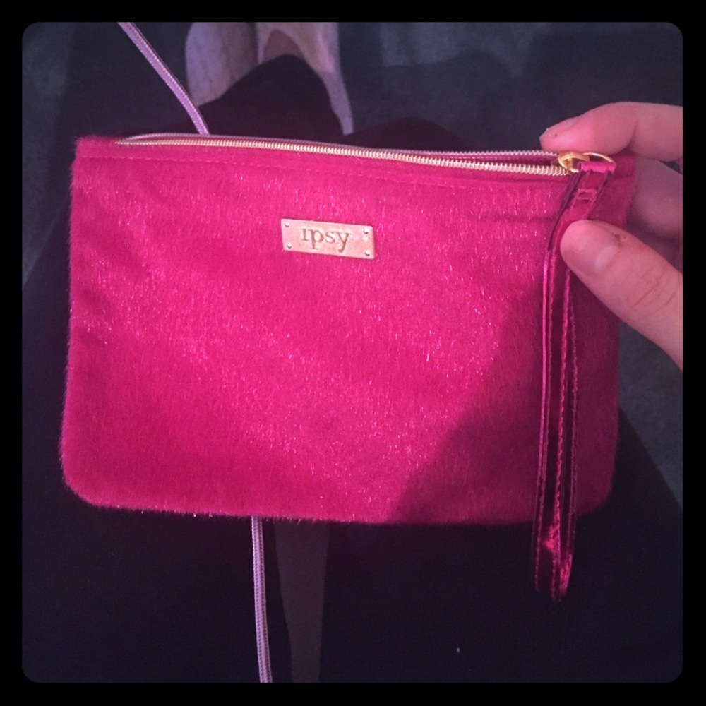 Ipsy cosmetic case