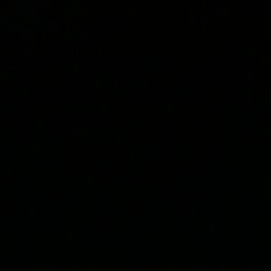 Meet your Posher, Nakia