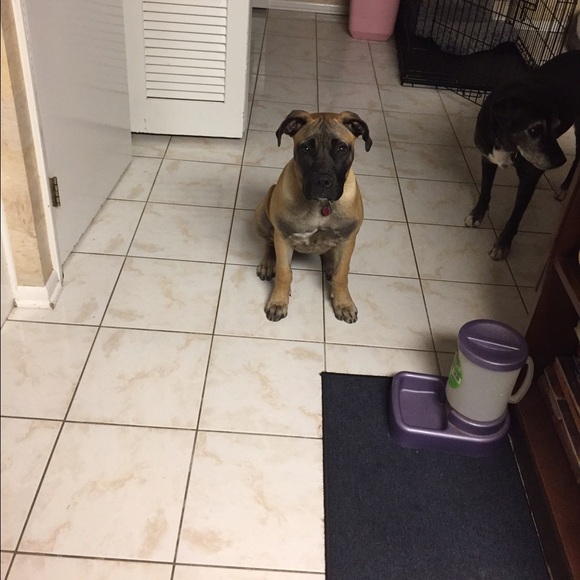 Meet your Posher, Rachel - Picture 1 of 1