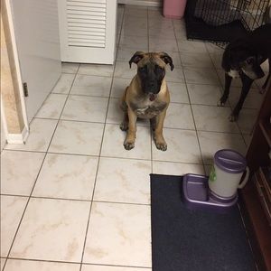 Meet your Posher, Rachel