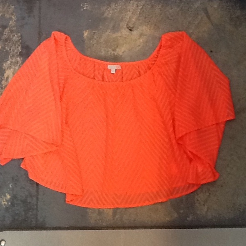 Gianni Bini flare top