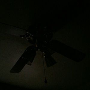 Meet your Posher, Geneva