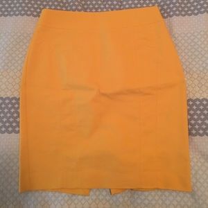 Express Pencil Skirt
