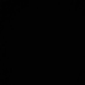 Meet your Posher, Genesis