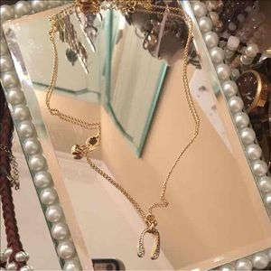 Juicy wishbone necklace