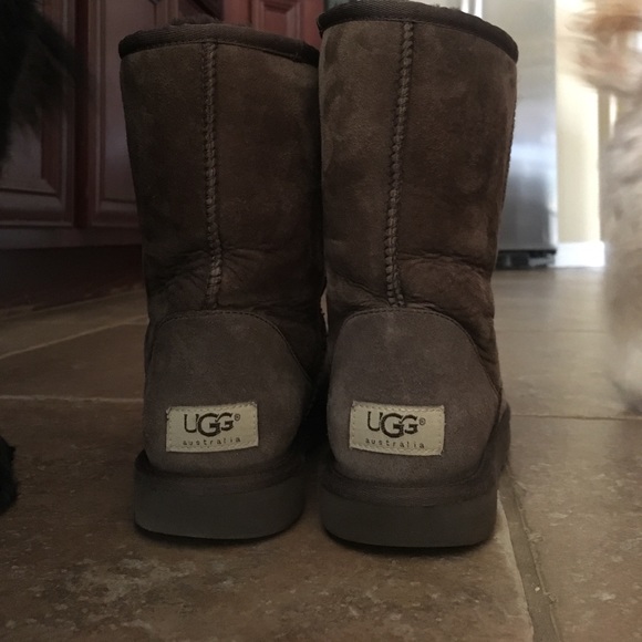 ugg 75 ugg 75