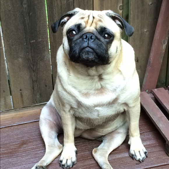 Meet your Posher, Vicki - Picture 1 of 1