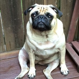 Meet your Posher, Vicki