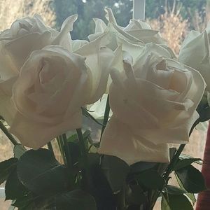 Meet your Posher, Lindsay