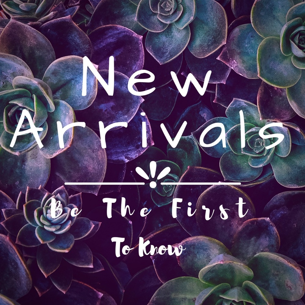 Get notified about new listings