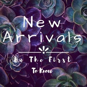 Get notified about new listings