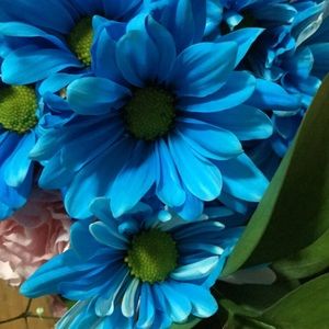 Meet your Posher, Jess