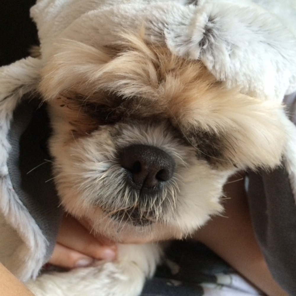 Meet your Posher, Elizabeth