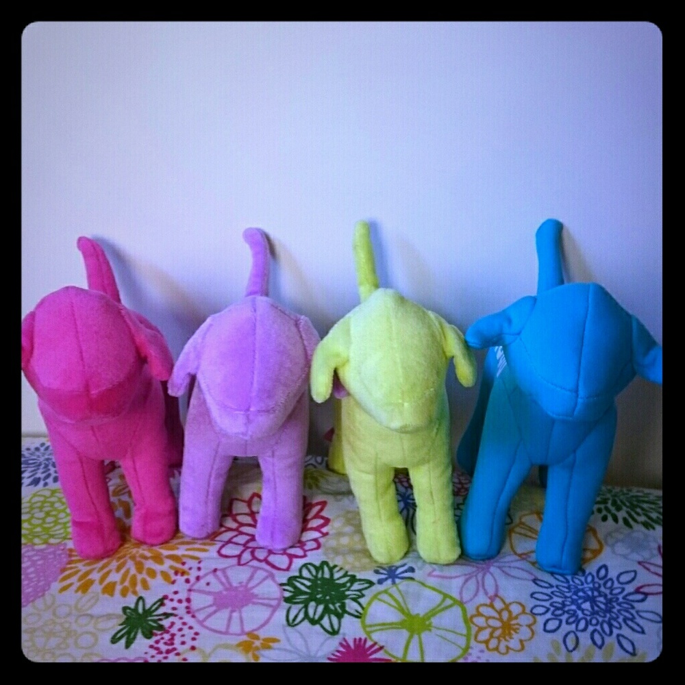 Vs pink dogs