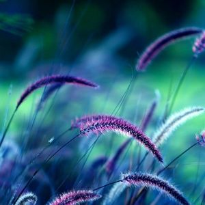 Meet your Posher, Sherry