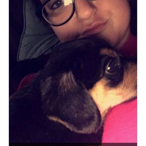 Meet your Posher, Sydney