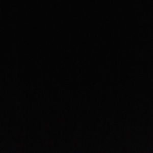 Meet your Posher, Owen