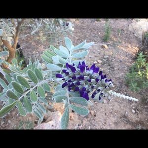 Meet your Posher, Lesa