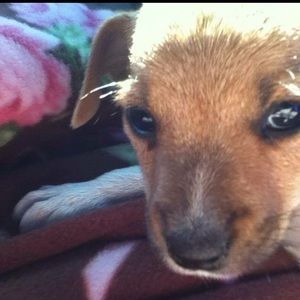 Meet your Posher, Kara