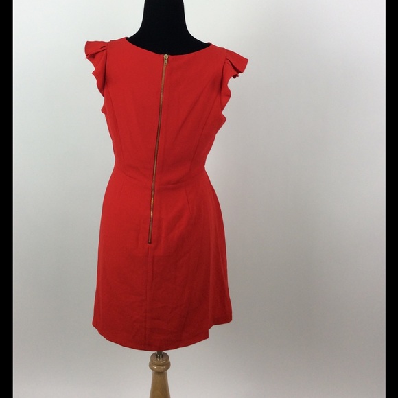 Gianni Bini - Picture 3 of 3