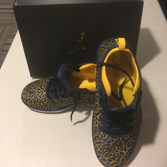 Jordan Other - Nike U of M Jordan Trainer 1 low 8.5