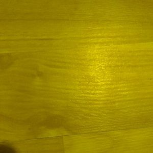 Meet your Posher, Cheyenne