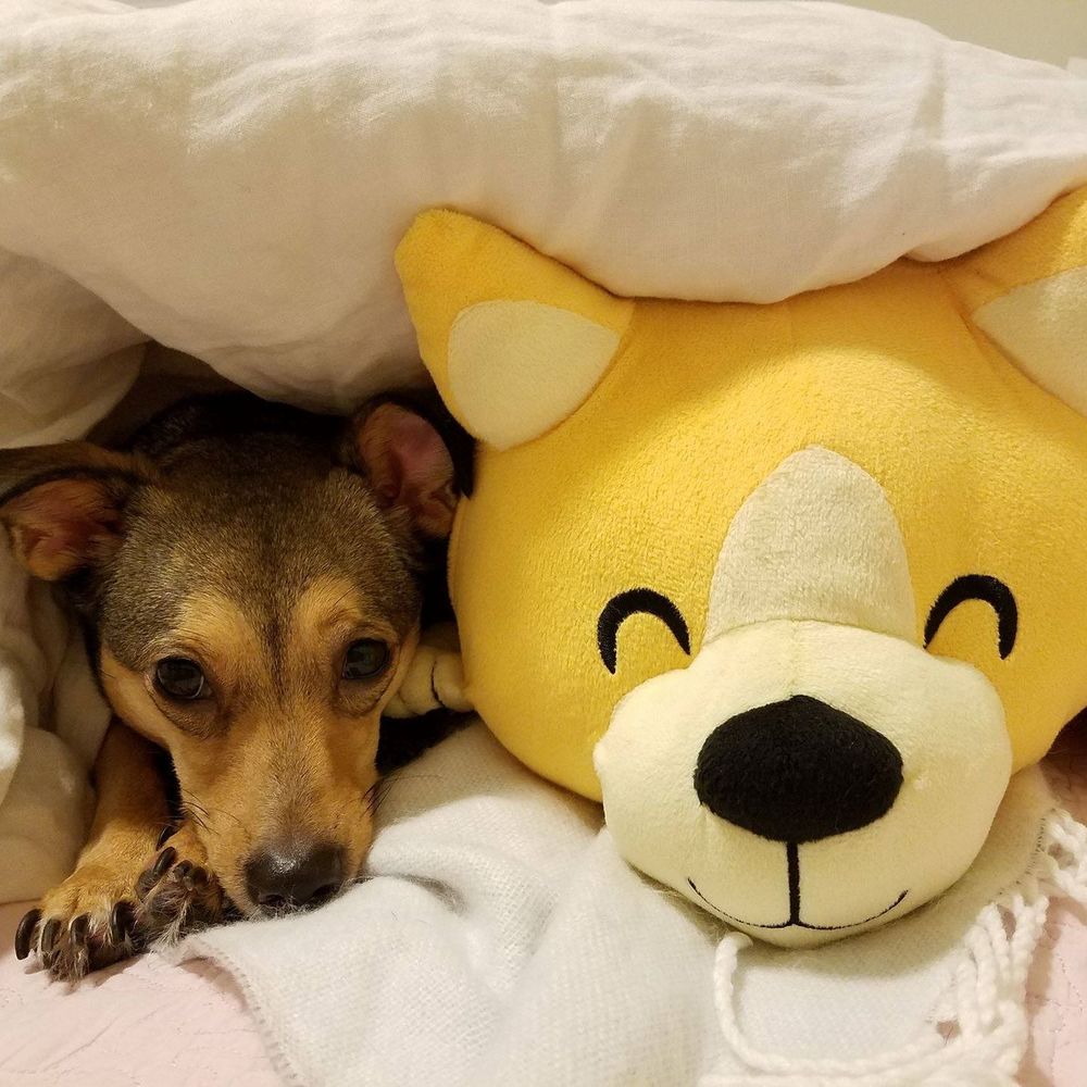 Meet your Posher, Eurah