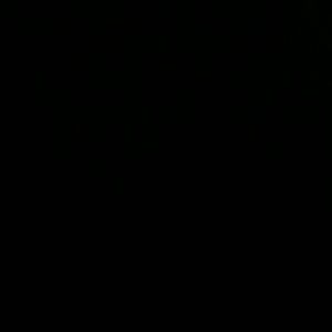 Meet your Posher, Alida