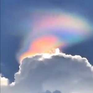 Meet your Posher, Sherelle