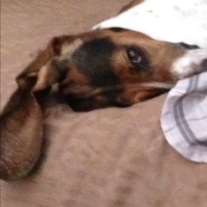 Meet your Posher, Evette