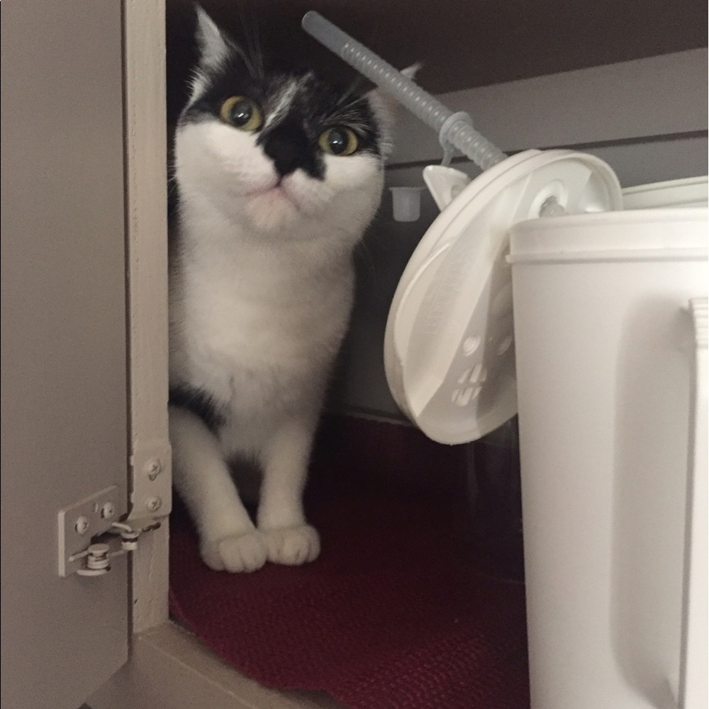 Meet your Posher, Guusje