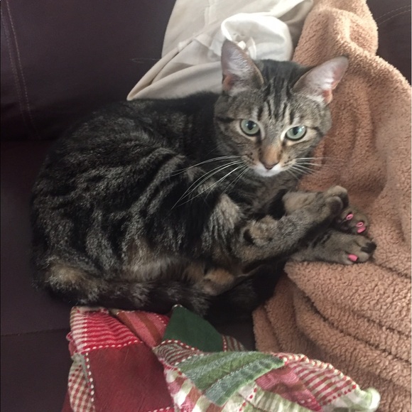 Meet your Posher, Guusje - Picture 3 of 3