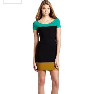 BCBG Jaquetta Colorblock Bodycon Dress Sz. M NWT