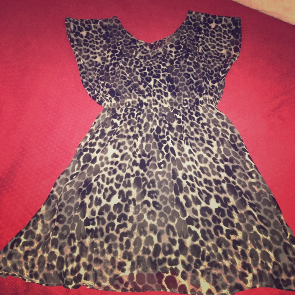 Black&White Express Cheetah-Print Dress | Size M