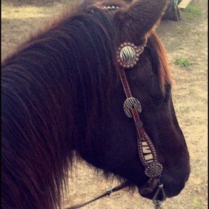 Meet your Posher, Jadyn