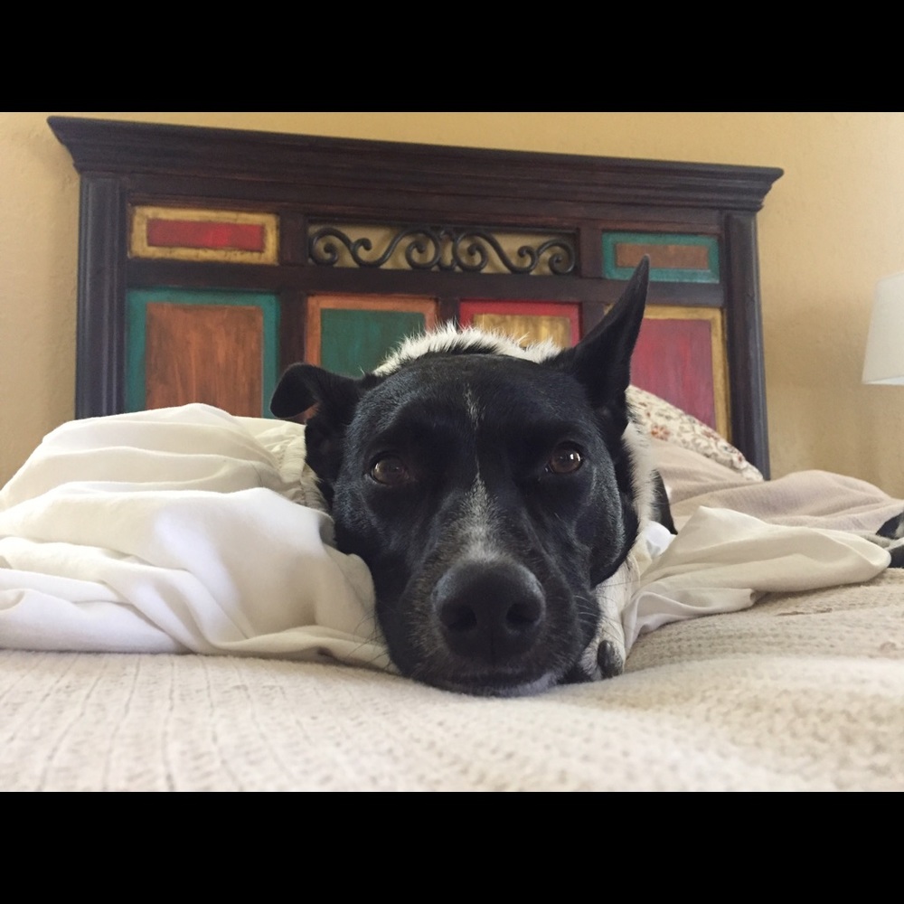 Meet your Posher, Karen