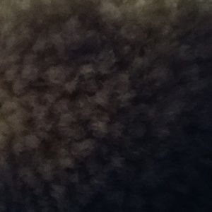 Meet your Posher, Tyrone