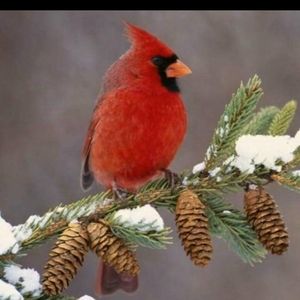 Meet your Posher, Holly